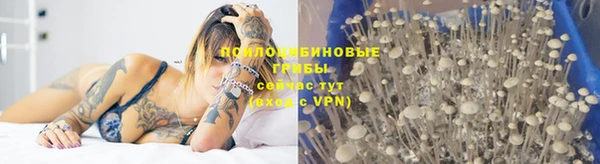 ПСИЛОЦИБИНОВЫЕ ГРИБЫ Алексин
