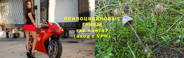 ПСИЛОЦИБИНОВЫЕ ГРИБЫ Алексин