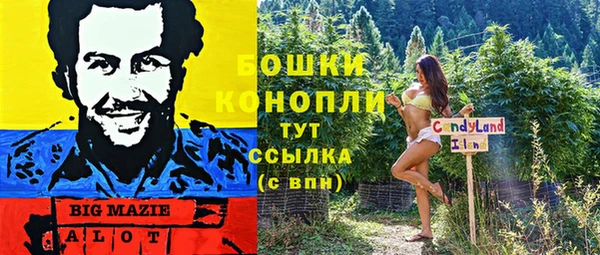 прущие крисы Абинск
