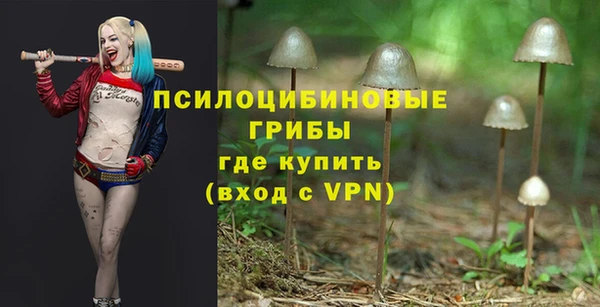ПСИЛОЦИБИНОВЫЕ ГРИБЫ Алексин