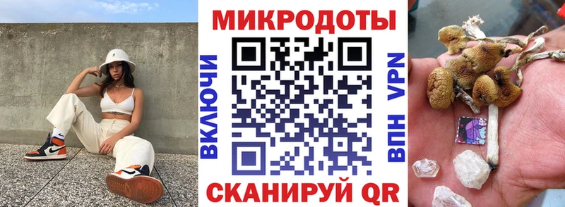 Псилоцибиновые грибы MAGIC MUSHROOMS  нарко площадка состав  Кизилюрт  OMG онион 