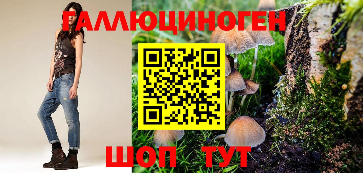 Кизилюрт  Псилоцибиновые грибы Cubensis  Псилоцибиновые грибы мицелий  Вход с VPN 